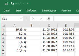 Wiegeprotokoll in Excel